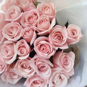 🌸 ALL REASONABLE OFFERS ACCEPTED 🌸